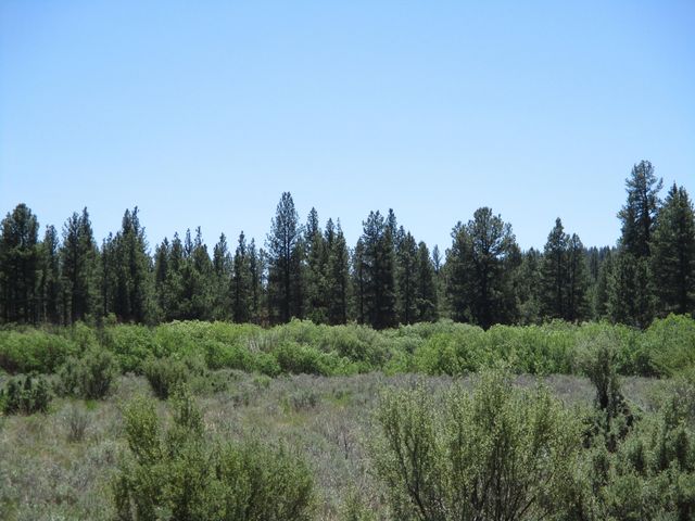 14914 Sprague River Road, Chiloquin, OR 97624