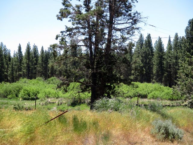 14914 Sprague River Road, Chiloquin, OR 97624