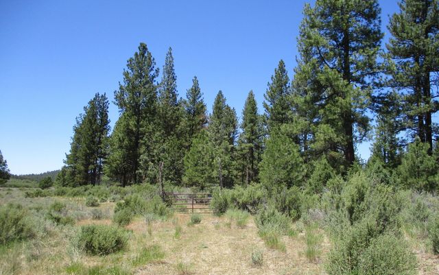 14914 Sprague River Road, Chiloquin, OR 97624