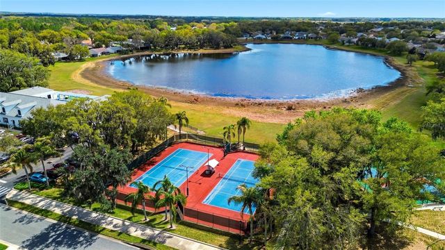 3810 ST EMMA COURT, Leesburg, FL 34748