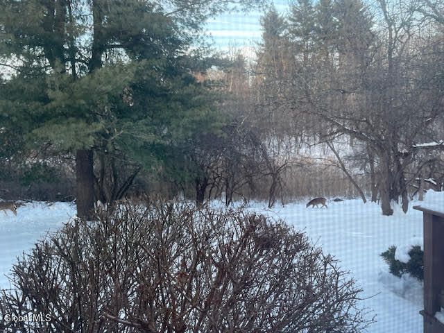 188 Harvard Road, Watervliet, NY 12189