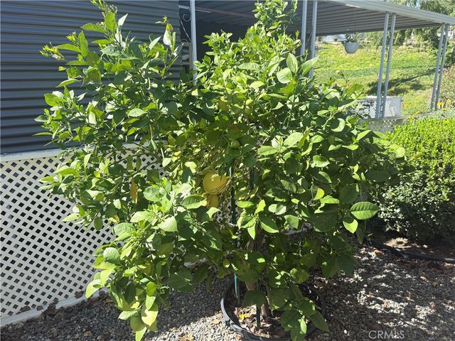 31130 S General Kearny 153, Temecula, CA 92591