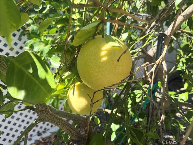 31130 S General Kearny 153, Temecula, CA 92591