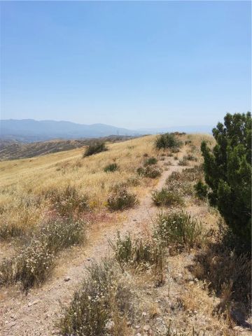 0 9, Agua Dulce, CA 91351