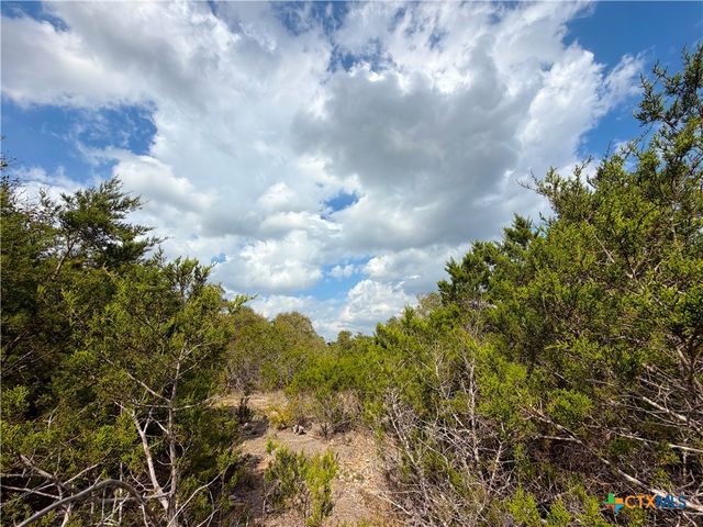 1447 Carson Creek, Canyon Lake, TX 78133