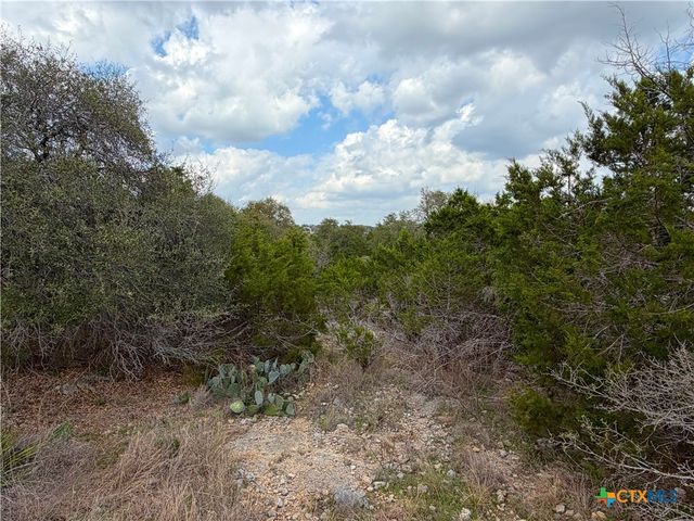 1447 Carson Creek, Canyon Lake, TX 78133