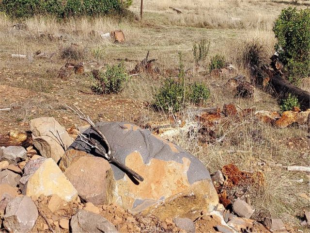 15240 Summit, Cobb, CA 95426