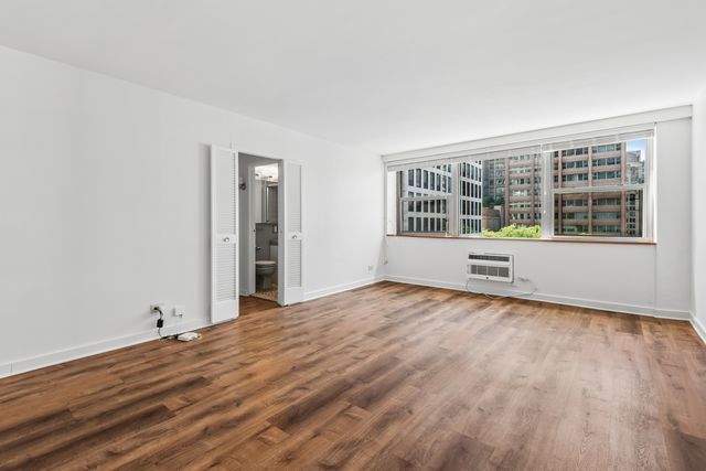 253 E Delaware Place 7H, Chicago, IL 60611