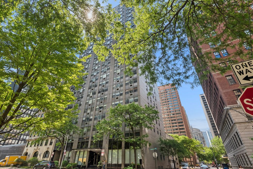 253 E Delaware Place 7H, Chicago, IL 60611