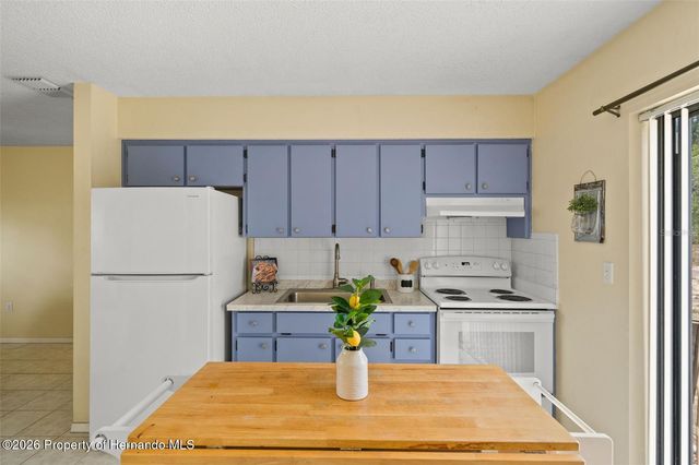 13002 Oneida Street, Spring Hill, FL 34609
