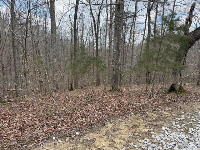 Lot 9 Phase 2 Stearns Hollow Road, Monticello, KY 42633