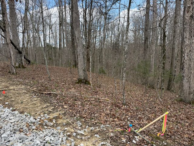 Lot 9 Phase 2 Stearns Hollow Road, Monticello, KY 42633