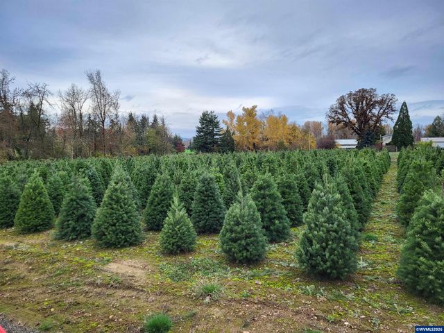 38591 Gilkey Rd, Scio, OR 97374