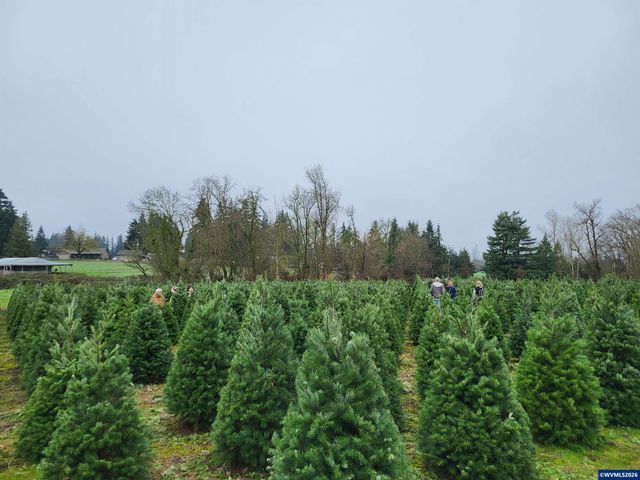 38591 Gilkey Rd, Scio, OR 97374