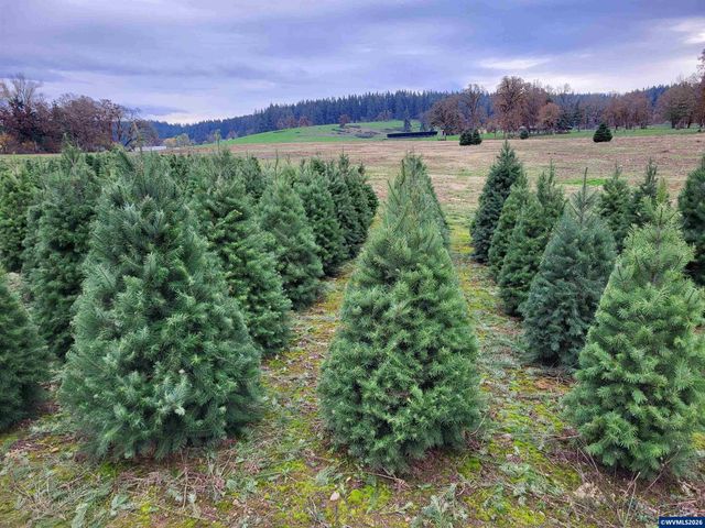 38591 Gilkey Rd, Scio, OR 97374