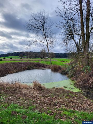 38591 Gilkey Rd, Scio, OR 97374