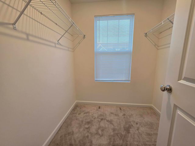 5915 Hawkweed Drive 08703, Naperville, IL 60564