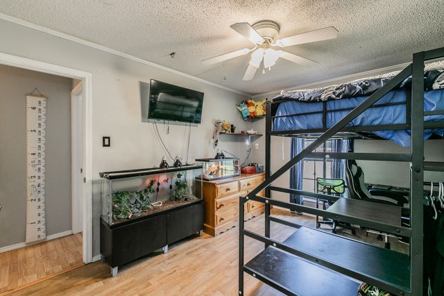 604 Carl C Senter Street, Forney, TX 75126