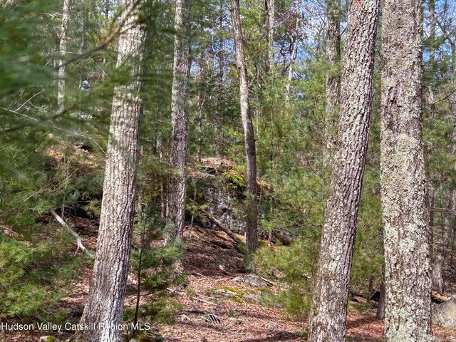 701 Lapla Road, Marbletown, NY 12401