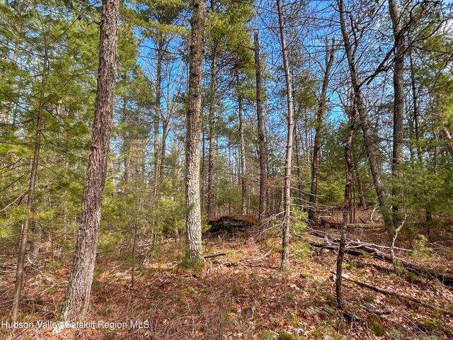 701 Lapla Road, Marbletown, NY 12401