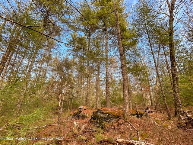 701 Lapla Road, Marbletown, NY 12401