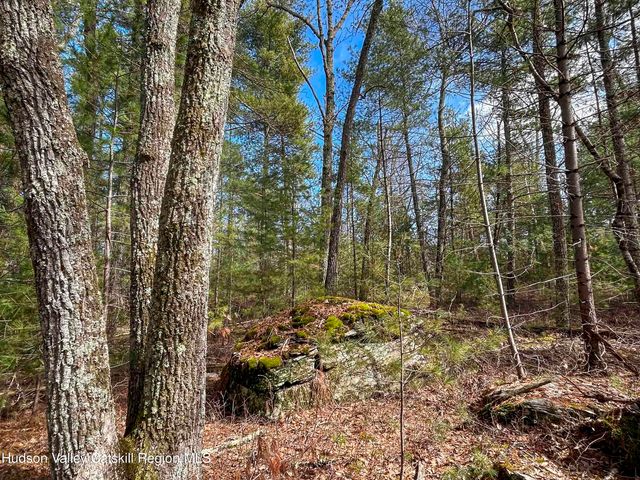 701 Lapla Road, Marbletown, NY 12401