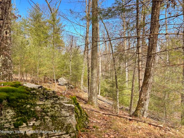 701 Lapla Road, Marbletown, NY 12401