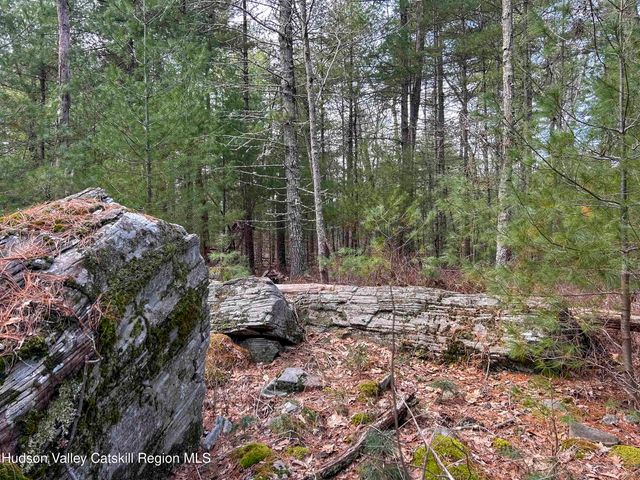 701 Lapla Road, Marbletown, NY 12401