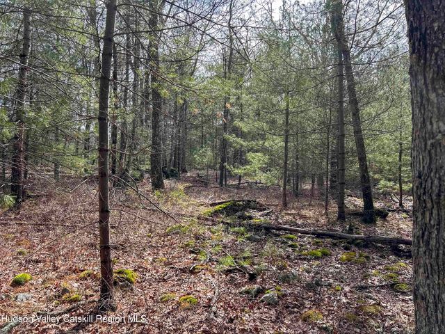 701 Lapla Road, Marbletown, NY 12401