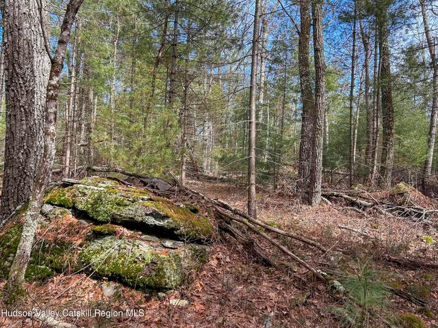 701 Lapla Road, Marbletown, NY 12401