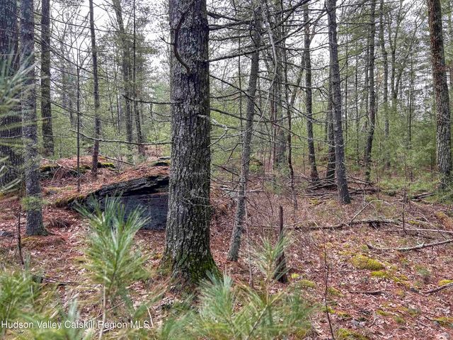 701 Lapla Road, Marbletown, NY 12401