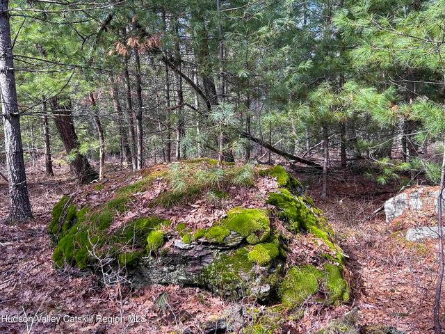 701 Lapla Road, Marbletown, NY 12401