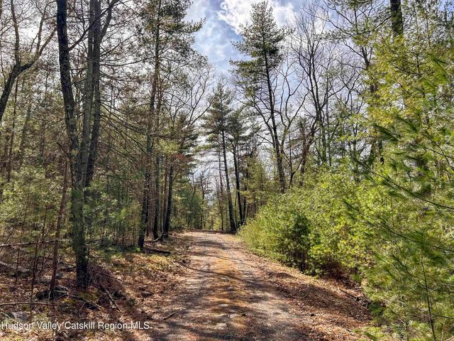 701 Lapla Road, Marbletown, NY 12401