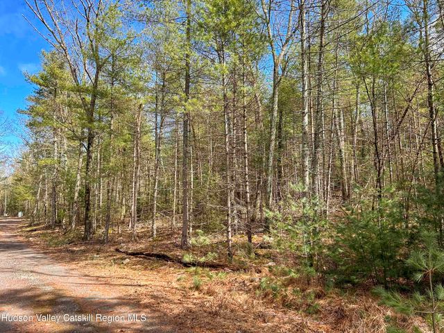 701 Lapla Road, Marbletown, NY 12401