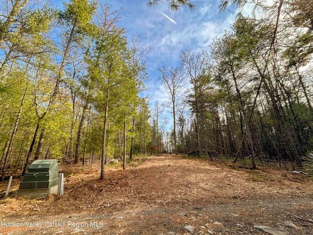 701 Lapla Road, Marbletown, NY 12401