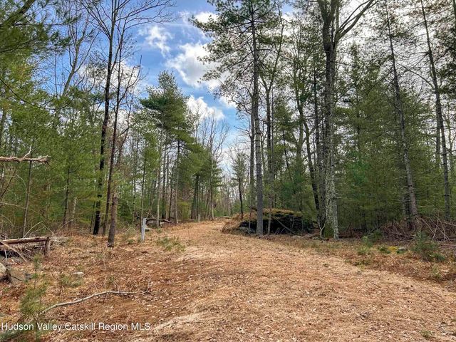 701 Lapla Road, Marbletown, NY 12401