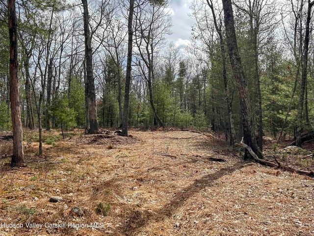 701 Lapla Road, Marbletown, NY 12401