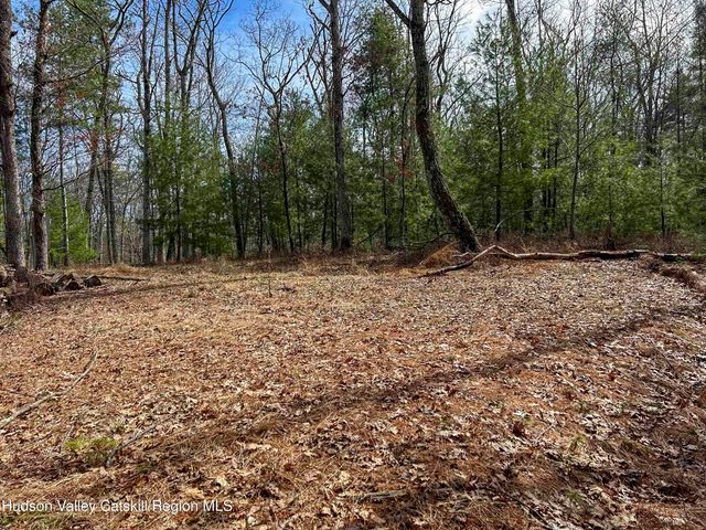 701 Lapla Road, Marbletown, NY 12401