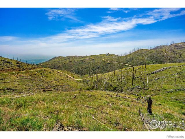1600 Whale Rock Road, Bellvue, CO 80512