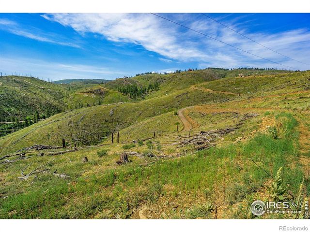1600 Whale Rock Road, Bellvue, CO 80512