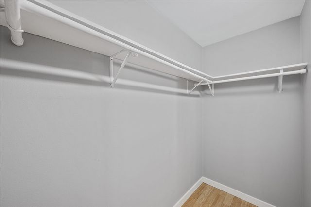 3108 Fontana DR, Austin, TX 78704