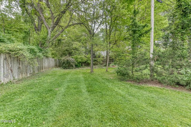 1000 Tulip Street, Johnson City, TN 37601