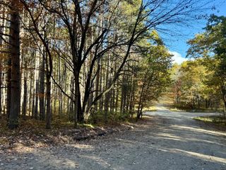 12426 Lone Wolf Trail, Stanwood, MI 49346