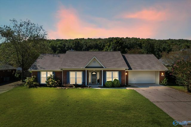 2819 Willowick Trail, Owens Cross Roads, AL 35763