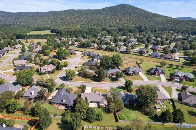 2819 Willowick Trail, Owens Cross Roads, AL 35763