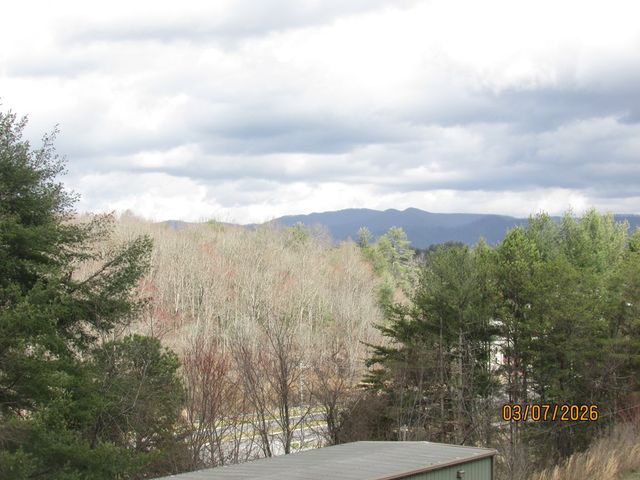 46 Mockingbird Lane, Hayesville, NC 28904