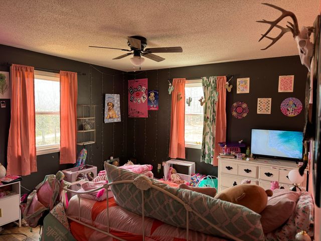 5293 County Road 3200, Mountain View, MO 65548