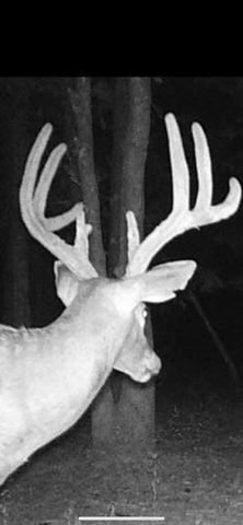 5293 County Road 3200, Mountain View, MO 65548