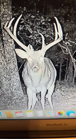 5293 County Road 3200, Mountain View, MO 65548