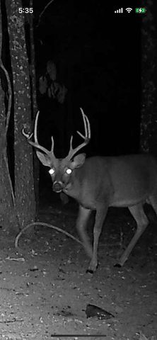 5293 County Road 3200, Mountain View, MO 65548